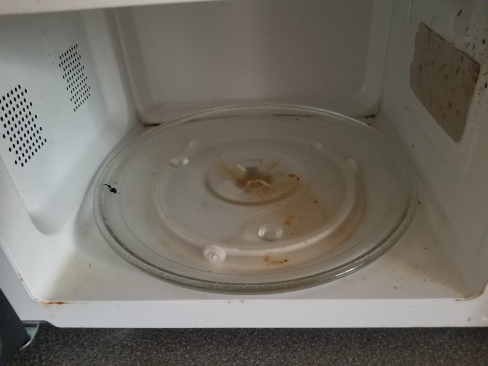 inside microwave oven.jpg